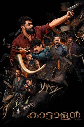 Kattalan poster